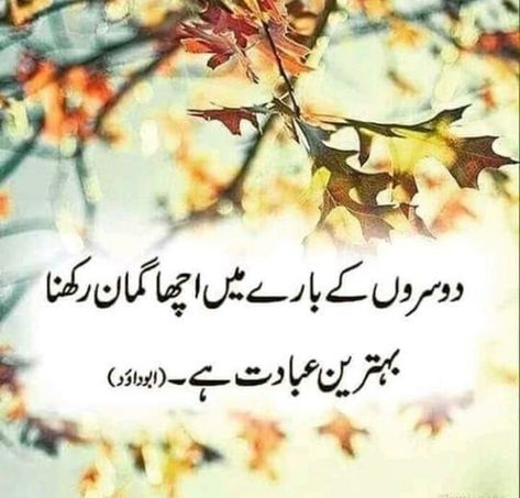 Islamic Whatsapp Dp, Urdu Quotes Islamic, Hazrat Ali Sayings, Achi Batain, Sufi Quotes, Urdu Love Words, Sufi Poetry, Quotes Islamic, Islamic Information