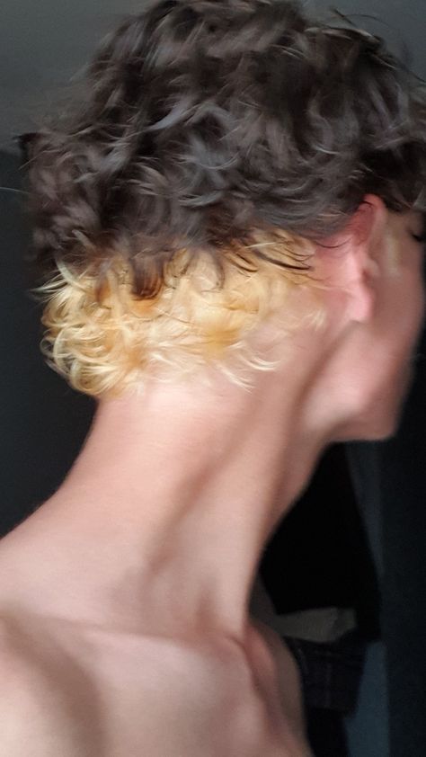 Male Dyed Hair Curly, Bleached Undercut Long Hair, Curly Hair Men Dyed Tips, Men Curly Dyed Hair, Bleached Undercut Men, Curly Hair Men Color Ideas, Dyed Curly Hair Ideas Men, Mens Bleached Hair Designs, Mullet With Color Underneath