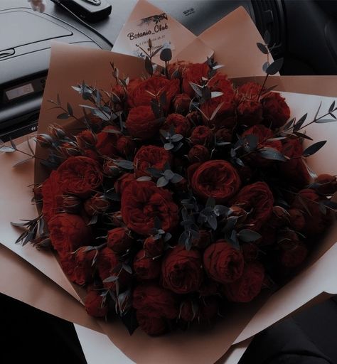 Red Dark Academia, Ph Aesthetic, Lukov With Love, From Lukov With Love, Dark Academia Bedroom, Academia Bedroom, Vintage Flowers Wallpaper, Aesthetic Filter, Nothing But Flowers