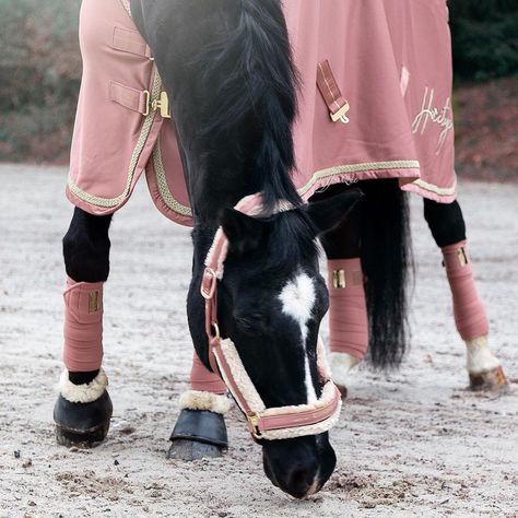 Horse Fashion, Horse Things, Horse Dressage, Horse Equipment, Andalusian Horse, Black Horses, Equestrian Lifestyle, Horse Equestrian, Draft Horses