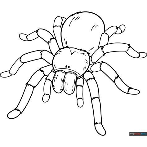 Free Tarantula Coloring Page for Kids Tarantula Drawing, Scary Coloring Pages, Monkey Coloring Pages, Spider Coloring Page, Diy Drawings, Popular Cartoon Characters, Free Printable Coloring Sheets, Easy Drawing Guides, Drawing Guides