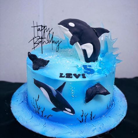 Orca Birthday Cake, Orca Cake, Whale Cake, Orca Whale Birthday Party Ideas, Orca Whale Party Decorations, Whale Cake Ideas, Orca Whale Birthday Cake, Whale Shaped Cake, Seaworld Birthday Cake