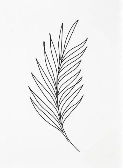 Pottery Illustration, Herb Tattoo, Blatt Tattoos, Fern Tattoo, Branch Tattoo, Line Art Images, Plant Tattoo, Botanical Tattoo, Contour Drawing