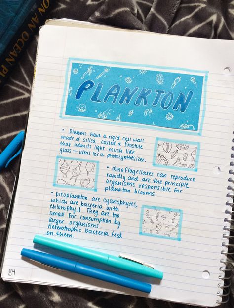 Marine Science Notes, Marine Biologist Tattoo, Marine Biology Notes Sharks, Marine Biology Study Notes, Oceanography Notes, Marine Biologist Aesthetic Notes, Marine Biology Notebook, Marine Biology Major, Marine Biology Journal