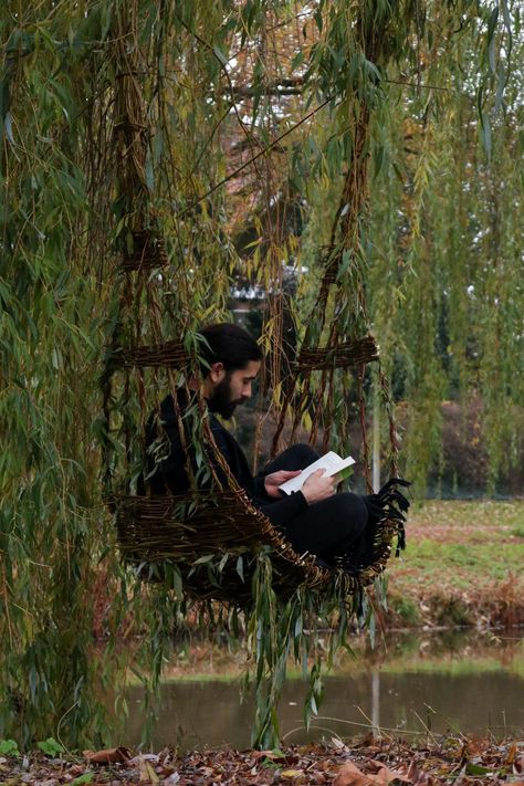 Willow Trees Garden, Tree Chair, Living Willow, Weeping Willow Tree, How Design, Willow Weaving, Willow Wood, Japanese Lifestyle, Woven Chair