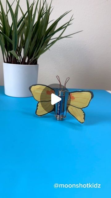 DIY electronics, stem and science activities for beginners on Instagram: "DIY “Yellow butterfly” homopolar motor. Easy and fun electronics project for beginners.
You will need:
- Bare copper wire (without antioxidant layer)
- AAA battery
- Magnets (neodymium)
- Tracing paper 
- Markers

Warning: this project should be done under adult supervision.

Order supplies here: https://www.amazon.com/shop/moonshotkidz

#stem #stemlearning #stemeducation #stemteacher #stemactivities #science #papercircuit #papercraft #crafts #easycraft #scienceteacher #scienceexperiment" Science Projects For High School, Easy Science Projects For Kids, Experiments For Kids Easy, Butterfly Crafts For Kids, Steam Activities For Kids, Homopolar Motor, Easy Science Experiments For Kids, Electronics Project, Science Experiments Kids Easy