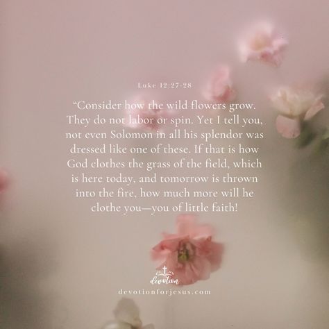 “Consider how the wild flowers grow. They do not labor or spin. Yet I tell you, not even Solomon in all his splendor was dressed like one of these. If that is how God clothes the grass of the field, which is here today, and tomorrow is thrown into the fire, how much more will he clothe you—you of little faith!" -Luke 12:27-28  #jesus #bible #scripture #devotion #love #faith #christian #christianapparel #christianclothing #faithbased Luke 12 27, God Clothes, Luke 12, Faith Christian, Head And Heart, Jesus Bible, Bible Scripture, Growing Flowers, The Grass