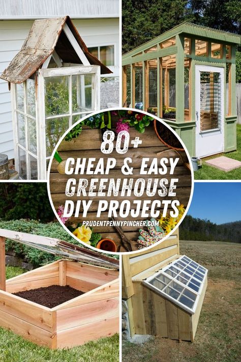 Easy Diy Greenhouse, Greenhouse Projects, Simple Greenhouse, Greenhouse Diy, Window Greenhouse, Miniature Greenhouse, Cold Frames, Diy Greenhouse Plans, Diy Wood Pallet Projects