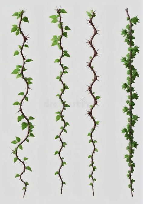 Collection Of Thorny Vines Isolated On A White Background. Generative AI royalty free stock photos Thorny Vine Tattoo, Vines Concept Art, Thorny Vines Drawing, Vines Plants Drawing, Vines No Background, Thorn Vines, Thorny Vines, Vine Logo, Vine Drawing