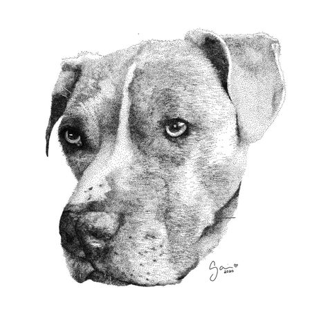 Dotwork Pet Portrait available on Etsy #stippling #dotwork #art #artist #petportrait #etsy #aesthetic #gift #portrait #drawing #cute #dog #adorable #puppy #artwork #artworkforsale Dotwork Art, Etsy Aesthetic, Pets Illustration, Stippling Art, Aesthetic Gift, Shading Techniques, Adorable Puppy, Unique Faces, Tattoo Work