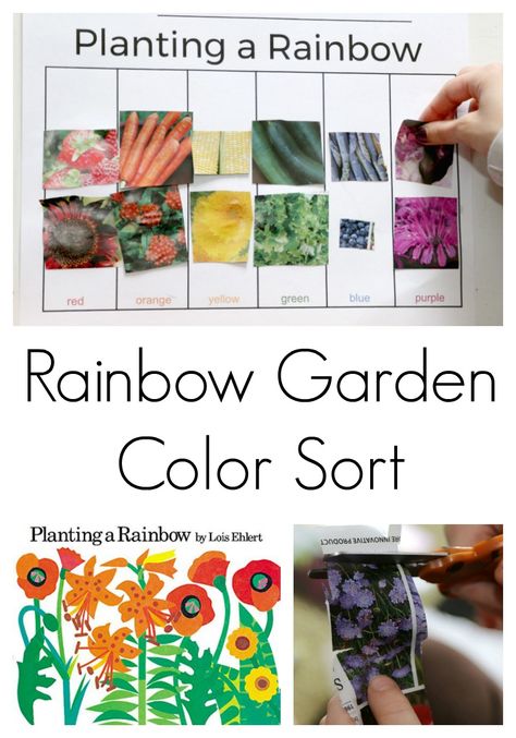 Planting A Rainbow, Garden Unit, Preschool Garden, Activity For Preschool, Plants Unit, Rainbow Activities, Plant Activities, Plant Study, Garden Activities