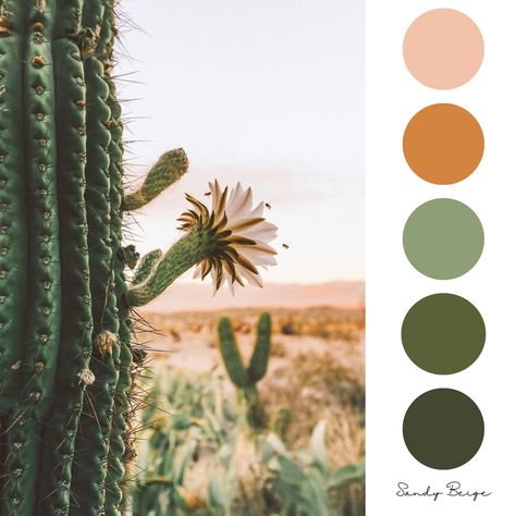 Desert Cactus Color Palette, Prickly Pear Color Palette, Palm Springs Colour Palette, Biophilic Design Color Palette, Joshua Tree Color Palette, Desert Oasis Color Palette, Biophilic Color Palette, Sedona Color Palette, Cactus Color Palette