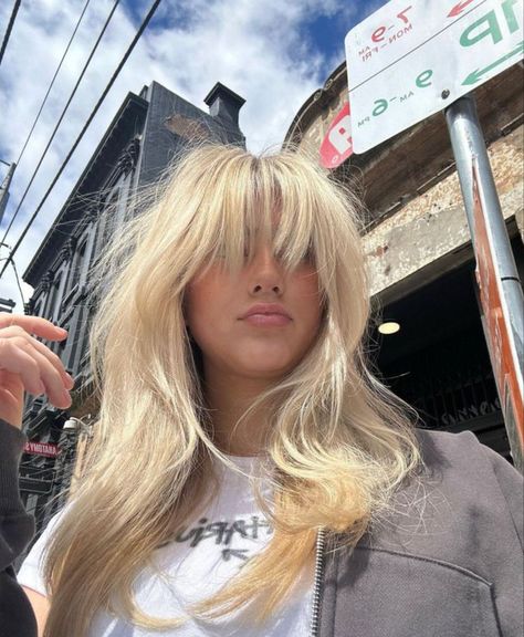 Fringe Curtain Bangs Round Face, Haircuts 2023 Oval Face, Round Face Fringe Bangs, Tiny Layers Hair, Bangs With Hats Baseball, Shaggy Wispy Bangs, Bangstyle Hair Long Round Face Wispy, Wispy Face Framing Bangs Short Hair, Blonde Wolf Cut With Bangs