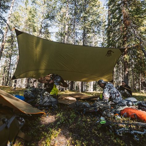 When the hard work pays off. #elk #elkhunting #colorado #hunting Colorado Hunting, Elk Hunting Gear, Elk Hunting, Hard Work Pays Off, Hunting Gear, 2025 Vision, Hard Work, Elk, Colorado