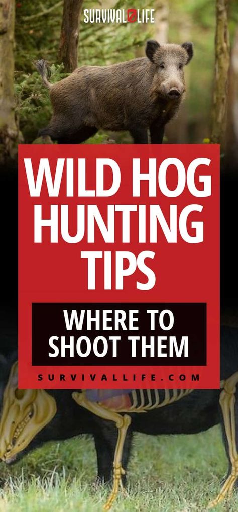 Wild Hog Hunting | Help Your Local Farmers While Bringing Home The Bacon #hoghuntingwithbow Bow Hunting Tips, Wild Hogs, Pig Hunting, Wild Boar Hunting, Boar Hunting, Hunting Diy, Deer Hunting Tips, Quail Hunting, Hog Hunting