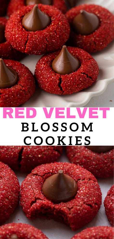 These red velvet blossoms cookies are soft, crunchy, and have just the right amount of Hershey's chocolate in the center. Red Velvet Thumbprint Cookies, Hershey Kiss Thumbprint Cookies, Thumb Print Cookies Recipes Christmas, Thumbprint Cookies Hershey Kiss, Christmas Thumbprint Cookies, Blossoms Cookies, Thumbprint Cookies Christmas, Red Cookies, 2023 Cookies