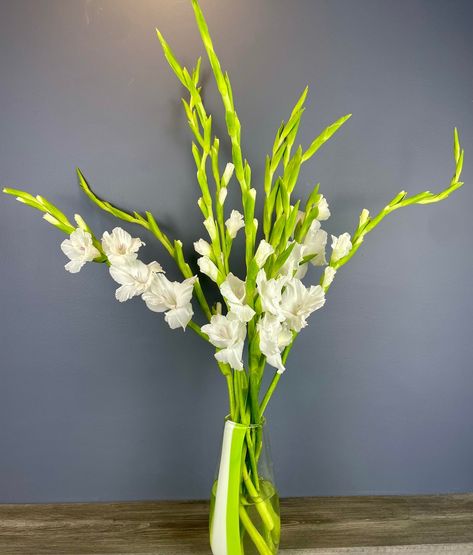 The warm August sun brings the gladiolus! This #flowerofthemonth represents strength and integrity, which are on full display with its gloriously tall stems and bounty of blooms. Beautiful on their own in a tall vase or as part of a dramatic summer arrangement. Long Stemmed Flowers, Gladiolus Arrangements, Long Stem Flowers, Tall Vases, Flower Arrangements, Wedding Flowers, Vase, Flowers