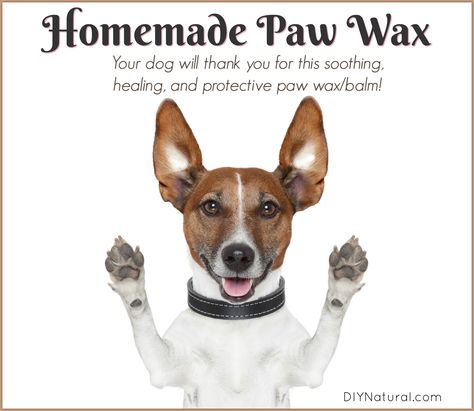 Homemade paw wax--for dog paws--is a wax Dog Paw Wax, Wax Diy, Paw Wax, Paw Care, Pet Spa, Dog Business, Pet Businesses, Up Dog, Crazy Dog