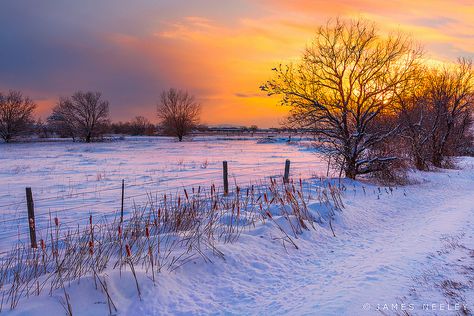 Warmth of a New Day Beautiful Winter Pictures, Winter Landscape Photography, Winter Landscapes, Winter Landscape Painting, Fine Art Landscape Photography, Painting Snow, Winter Watercolor, Landscape Photography Nature, Winter Painting