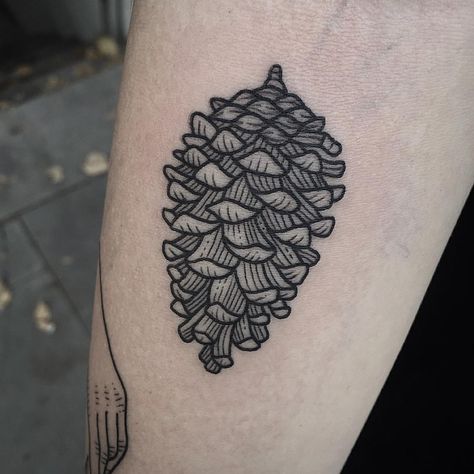 Pine cone tattoo More Etching Tattoos, Pine Cone Tattoo, Hipster Tattoos, Pinecone Tattoo, Cone Tattoo, Draw Nature, Pine Tattoo, Bohemian Tattoo, Plant Tattoo