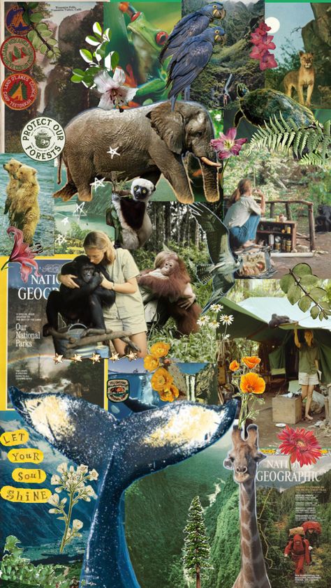 Zoology Aesthetic Wallpaper, Wildlife Biology Aesthetic, Zoology Career, Wildlife Collage, Wildlife Biologist, Vet Medicine, Nature Collage, Zoo Keeper, Animal Study