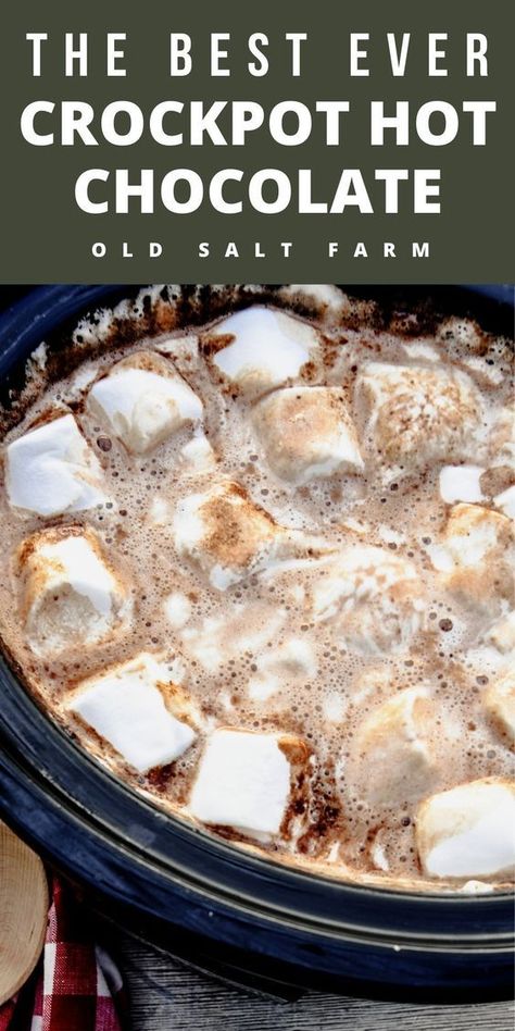 Best Crockpot Hot Chocolate, Easy Crockpot Hot Chocolate, Crockpot Hot Chocolate Recipe, Best Crockpot, Crockpot Hot Chocolate, Hot Chocolate Recipe, Christmas Hot Chocolate, Homemade Hot Chocolate, Holiday Recipes Christmas