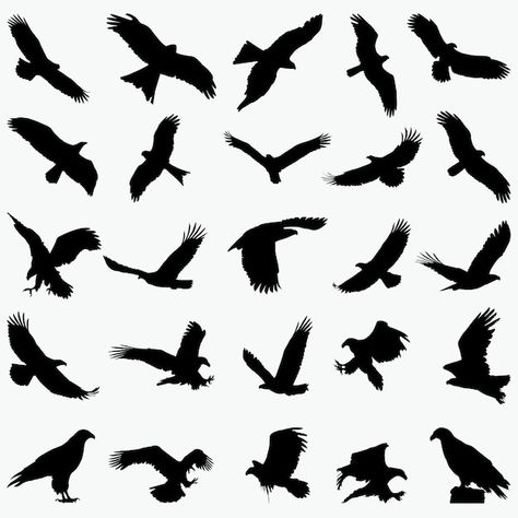 Black Eagle Tattoo, Hawk Silhouette, Bird Silhouette Tattoos, Small Eagle Tattoo, Falcon Tattoo, Tattoo Name Fonts, Vogel Silhouette, Vogel Tattoo, Phoenix Logo