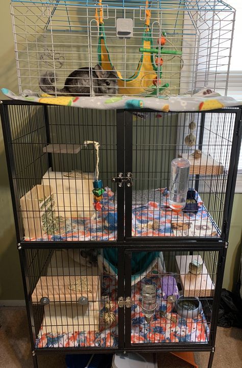 New cage setup (diy tri-level with an old hamster cage) #chinchilla #chinchillas #rodent #pet Chinchilla Playpen, Chinchilla Cage Ideas Diy, Chinchilla Cage Ideas, Chinchilla Care, Indoor Rabbit Cage, Chinchilla Pet, Chinchilla Cage, Pet Room, Life Plans