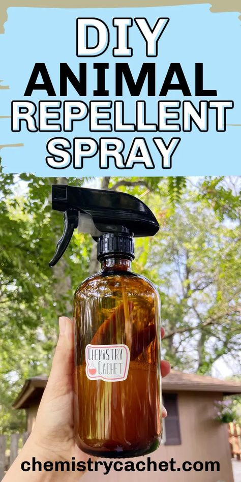 If you want to deter rabbit, deer, and other animals from your garden or flower bed, try this DIY natural, organic animal repellent spray recipe. We share the science behind how it works too! Homemade Deer Repellant, Dog Deterrent Spray, Dog Repellent Spray, Rabbit Repellent, Dog Deterrent, Deer Deterent, Deer Resistant Garden, Deer Repellant, Rodent Repellent