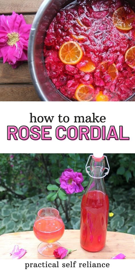 Learn how to make an easy rose petal infused cordial this summer. Use it for refreshing floral cocktails or even try adding other edible flowers into the mix. Elderflower rose would be an excellent summer infused cordial! Rose Petal Recipes, Rose Cocktail Recipes, Eatable Flowers, Cordial Recipe, Flowers Recipes, Easy Rose, Homemade Limoncello, Edible Flowers Recipes, Rose Cocktail