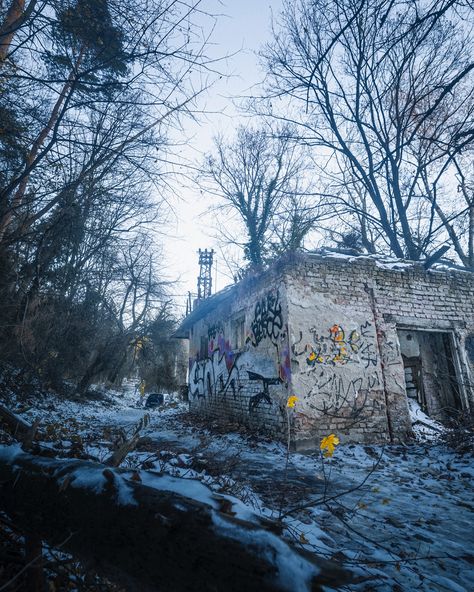 “Beauty in Destruction” There’s a strange allure to abandoned places—a haunting blend of history and mystery. This graffiti-clad, crumbling house drew me in, a vivid reminder of the human imprint on nature. The light streaming through the shattered windows added an apocalyptic charm I couldn’t resist capturing. It’s a bittersweet kind of beauty, where decay meets inspiration, and every crack, shadow, and graffiti tag tells a story. 🏚️✨ Have you ever found beauty in the forgotten corners of... Graffiti Tagging, House Drawing, Find Beauty, Abandoned Places, Graffiti, Human, History, Beauty, Quick Saves