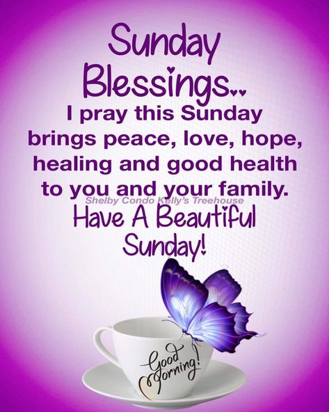 Blessings Sunday, Sunday Morning Prayer, Sunday Morning Wishes, Blessed Sunday Morning, Quotes Sunday, Happy Sunday Images, Sunday Prayer, Good Morning Sunday Images, Happy Sunday Morning