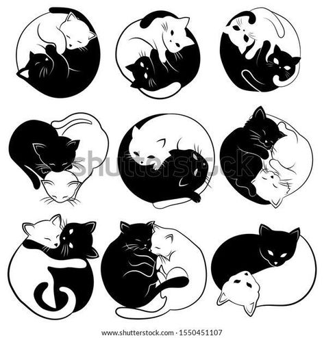 Black And White Cats Art, Cats Ying Yang Tattoo, Cat Yin And Yang Tattoo, White And Black Cat Tattoo, Black And White Cats Tattoo, Black White Cat Tattoo, Yin And Yang Cat Tattoo, Cat Yin Yang Tattoo, Black And White Cats Drawing