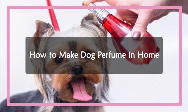 Dog Cologne Diy, Dog Perfume, Homemade Perfume, Chemical Bond, Spin The Bottle, Perfume Recipes, Essential Oil Mixes, Perfume Making, Best Essential Oils