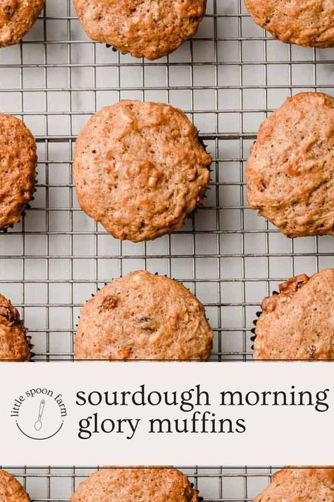 Fermented Sourdough Muffins, No Wait Sourdough Muffins, Sourdough Discard Morning Glory Muffins, Sourdough Discard Carrot Muffins, Sourdough Carrot Cake Muffins, Sourdough Carrot Muffins, Sourdough Morning Glory Muffins, Discard Sourdough Muffins, Sourdough Oatmeal Muffins