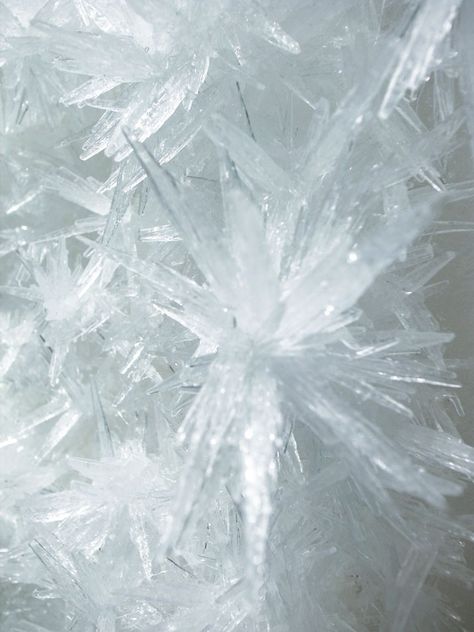 Tokujin Yoshioka, Swan Lake 2013 (Crystallized painting - detail).photo © MOT / Museum of Contemporary Art Tokyo. Tokujin Yoshioka, Toshiro Hitsugaya, Killer Frost, Yennefer Of Vengerberg, Wally West, Emma Frost, Ice Crystals, Snow Flakes, Art Texture