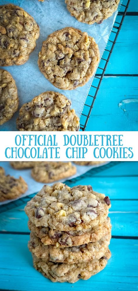 Doubletree Chocolate Chip Cookies, Doubletree Chocolate Chip Cookie Recipe, Doubletree Cookie Recipe, Doubletree Cookies, Cookies Brownies, Home Together, Chip Cookie Recipe, Decadent Chocolate, Pie Dessert