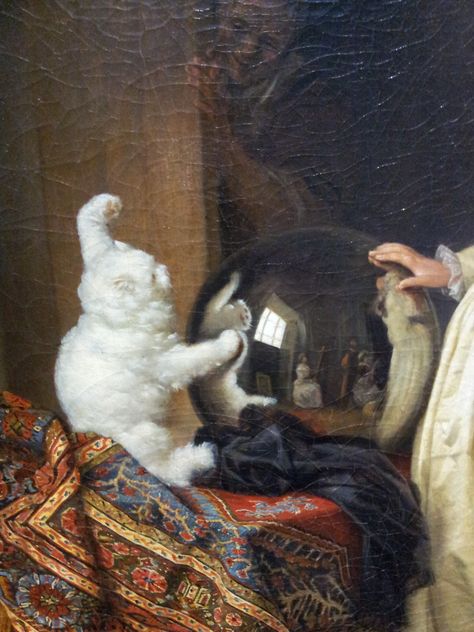 Just like Alice in Wonderland Cats In Art History Paintings, Angora Cat, Jean Honore Fragonard, Angora Cats, Rococo Art, Gazing Ball, Art Ancien, Cat Artwork, Arte Inspo