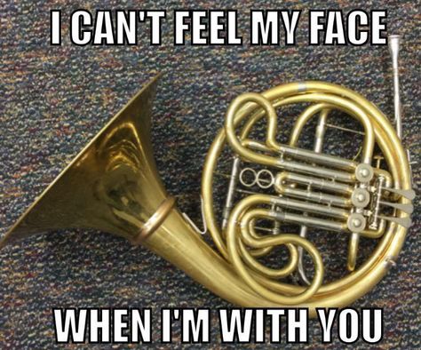 French Horn Humor, Band Puns, Marching Band Memes, Band Room, Marching Band Humor, Welcome Home Posters, Band Jokes, Music Jokes, Silly Bands