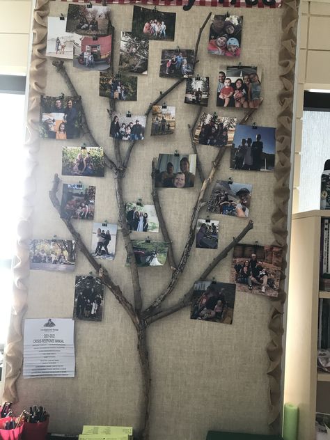 Belonging Tree Childcare Display, Family Picture Wall, Teaching Displays, Family Pictures On Wall, Reggio Classroom, Natural Play, Daycare Ideas, Daycare Activities, Nature Play