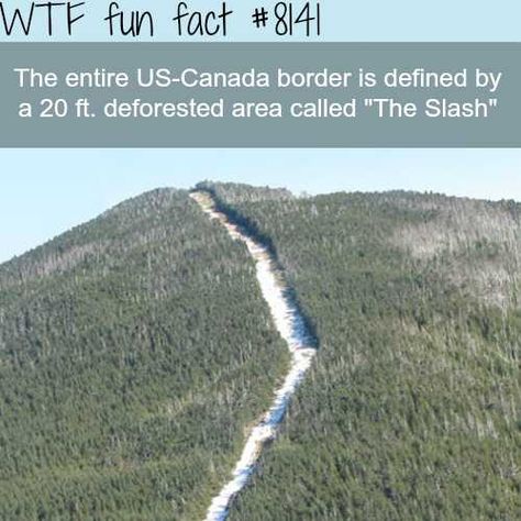 Fun Facts About Canada, Dense Forest, Funny Travel, Crazy Facts, Travel Clothes, Did You Know Facts, Random Facts, Science Facts, Interesting History