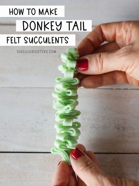 Donkey's Tail Felt Succulents {Crazy Easy!} - Six Clever Sisters Felt Succulents Template Free, Felt Succulents Template, Felt Cactus Diy, Felted Succulents, Sewn Flowers, Felt Cactus, Felt Succulents, Cactus Diy, Types Of Succulents