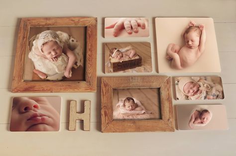 Erin Tole Photography Picture Display Wall, Photo Wall Display, Photo Collage Wall, Photo Wall Decor, Picture Collage Wall, Photography Love, Newborn Props, Photo Wall Collage, Newborn Pictures