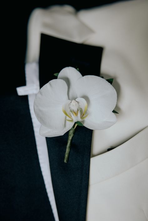 Rose And Orchid Boutonniere, Rose And Orchid Bouquet, Modern Boutonniere, Orchid Boutonniere, Groomsmen Boutonniere, Orchid Bouquet, Board Wedding, Orchid Wedding, Suits Men