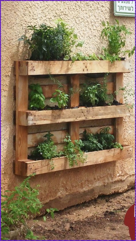 Pallet Planter Diy, Pallet Garden Walls, Vertical Pallet Garden, Pallet Furniture Designs, Pallet Planter, Backyard Diy, Walled Garden, Pallet Garden, Pallets Garden