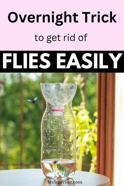 Dealing with flies buzzing around your home can be both annoying and unsanitary. However, with the right approach, you can effectively keep flies at bay and maintain a clean and comfortable living environment. Checkout these practical and eco-friendly methods to deter flies from infesting your home and outdoor spaces. Fly Infestation, Flies Outside, Good Time, Outdoor Spaces, Patio, Patios