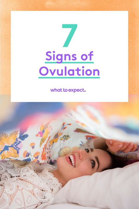 How do you know when you’re ovulating and how long does it last? Here are the main signs of ovulation to look out for, plus ways to predict when ovulation will occur. #ovulation #womenshealth Reflexology For Fertility, Ovulation Signs, What Is Ovulation, Ovulation Symptoms, Track Your Cycle, Chromosomal Disorders, Ovulation Cycle, Pregnancy Tracker, Thyroid Test