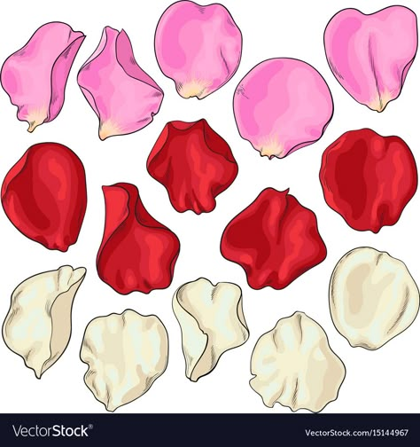 Rose Petals Drawing, Petals Drawing, Drawing Of Rose, Red Rose Drawing, Rose Drawing Simple, Rose Line Art, Realistic Rose, Rose Illustration, Red Rose Petals