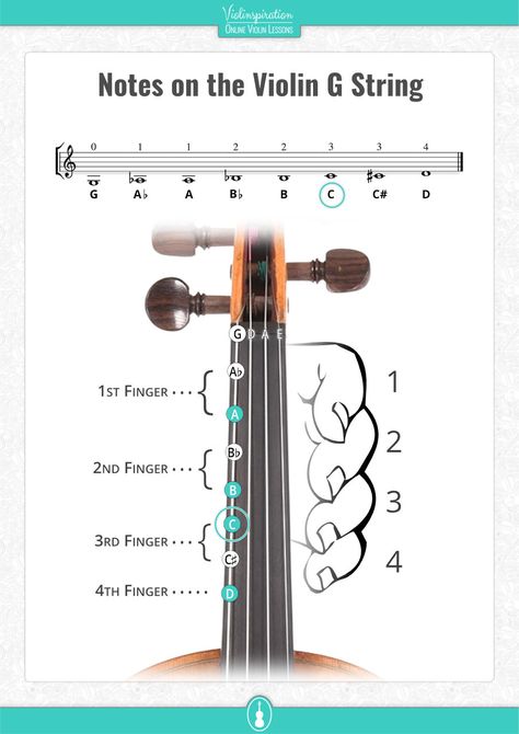 All Violin Notes for Beginners [with Easy PDF Charts] - Violinspiration Violin Beginner Learning, Violin Basics, Violin Beginner Music, Violin For Beginners, Violin Chords, Beginner Violin Sheet Music, Violin Fingering Chart, Violin Notes, Violin Tutorial