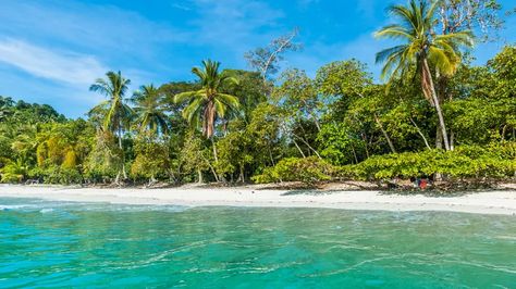 Tortuguero National Park, Natural Science Museum, Ocean View Hotel, Manuel Antonio National Park, Volcano National Park, Hidden Beach, Us Destinations, Black Sand Beach, Destin Beach